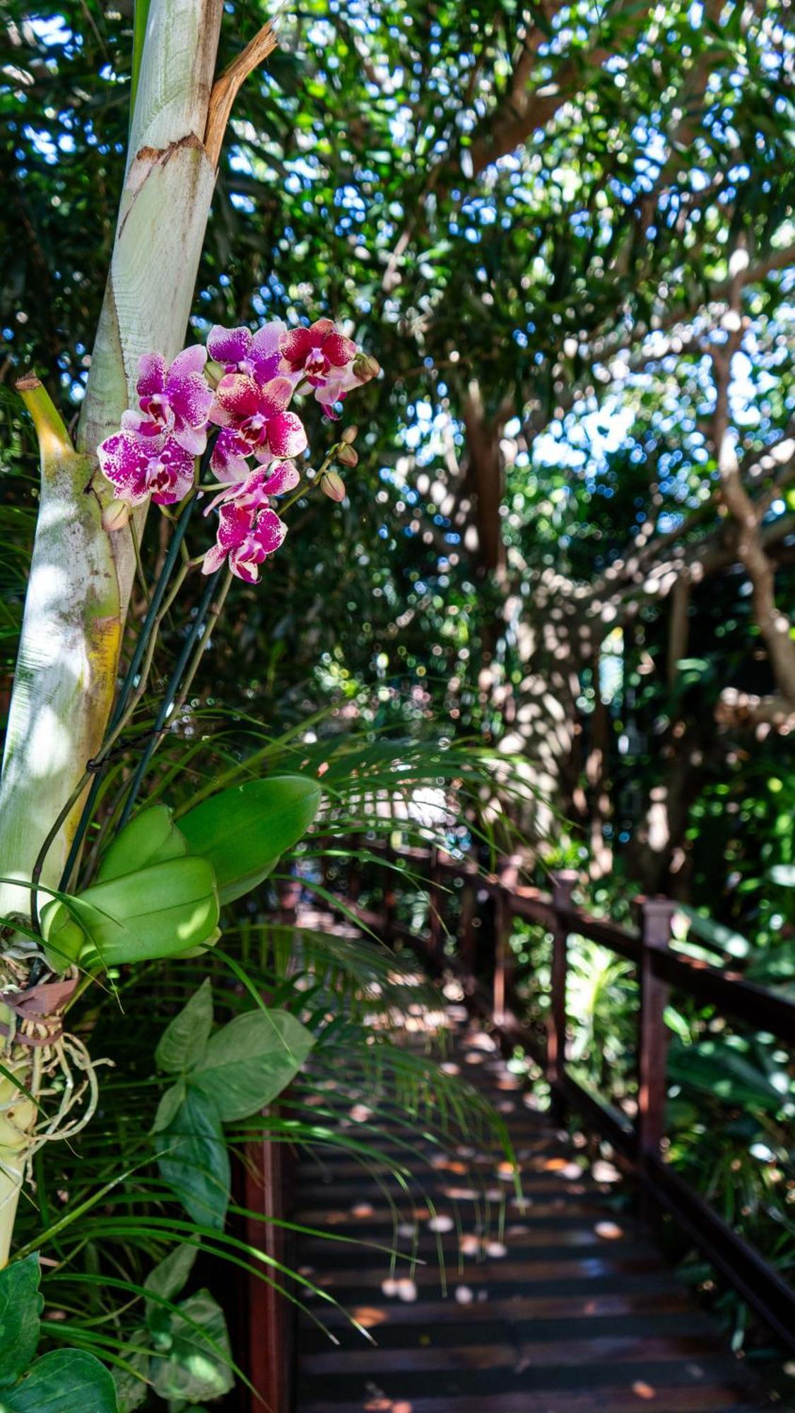 Luxury Tented Village @ Urban Glamping Luxuszelt Saint Lucia Estuary